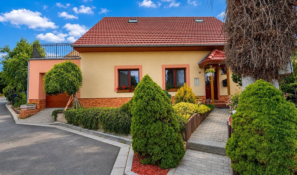 Prodej rodinného domu 5+kk se dvěma terasami, dvorem, garáží a sklepem - Syrovice — foto 2