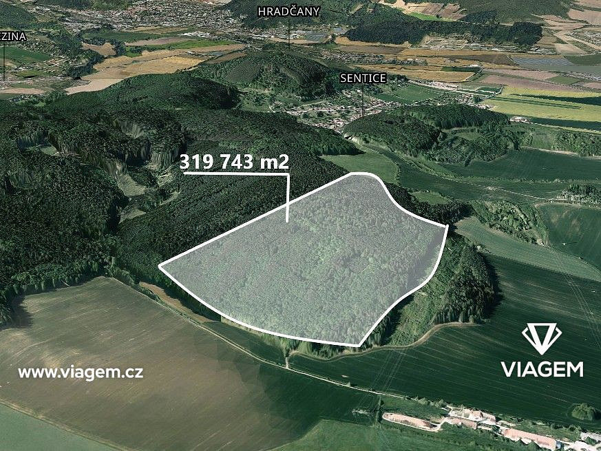 Prodej lesa 23 684 m²