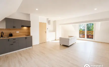 Prodej bytu 1+kk 52 m², Viniční, Brno - Židenice