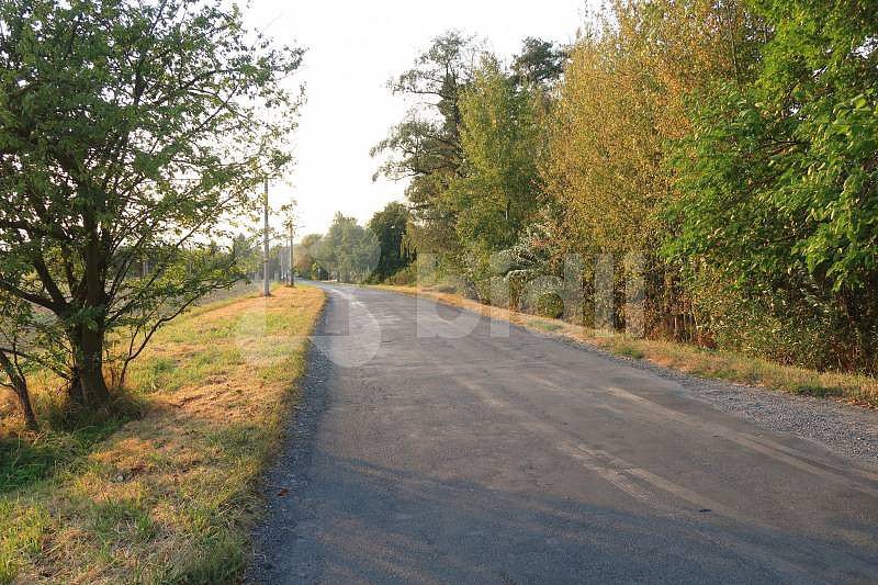 Prodej pole 3 030 m² – fotografie 5
