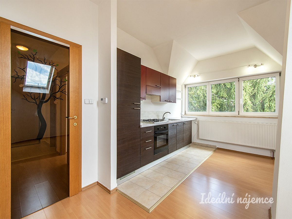 Pronájem bytu 2+kk 53 m²