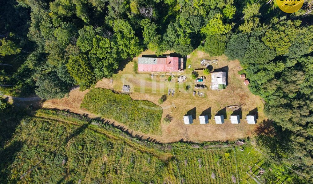 Prodej domu 500 m² s pozemkem 9 467 m², Česká Ves – náhled fotky 12