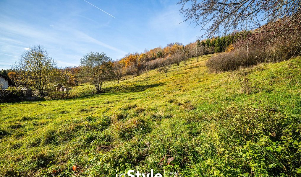 Prodej stavebního pozemku 4 748 m², Lopeník – náhled fotky 6