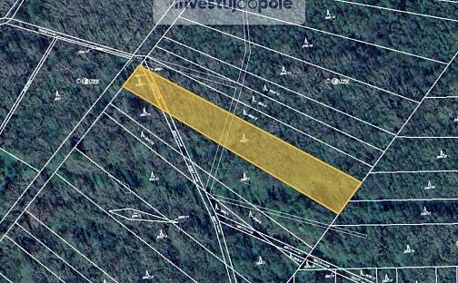 Prodej lesa 2 512 m², Kravaře, okres Opava