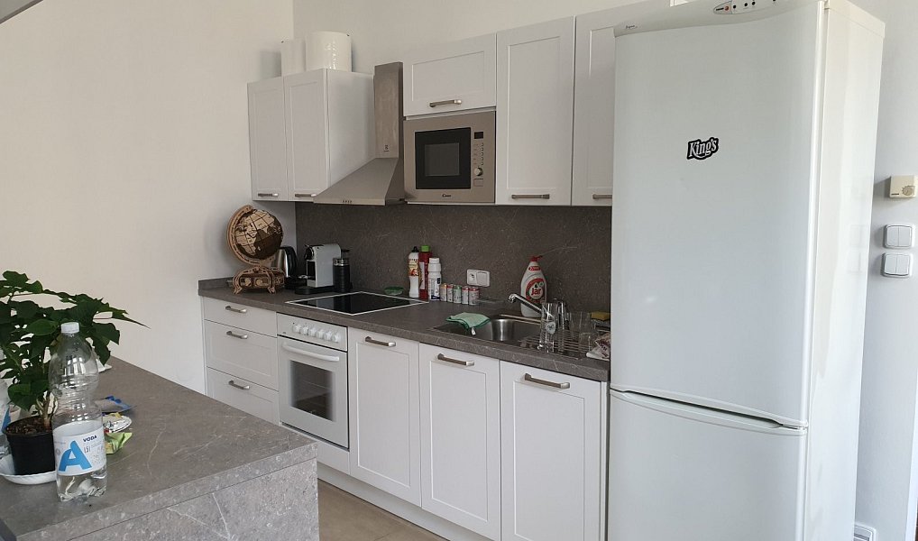 Pronájem bytu 2+kk 65 m², Praha – náhled fotky 3