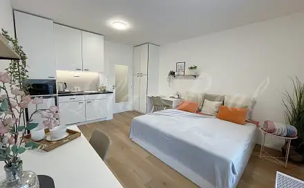 Pronájem bytu 1+kk 30 m², Bratislavská, Brno - Zábrdovice