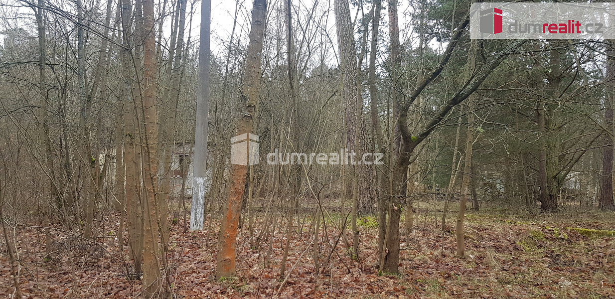 Prodej komerčního pozemku 636 m² – fotografie 5