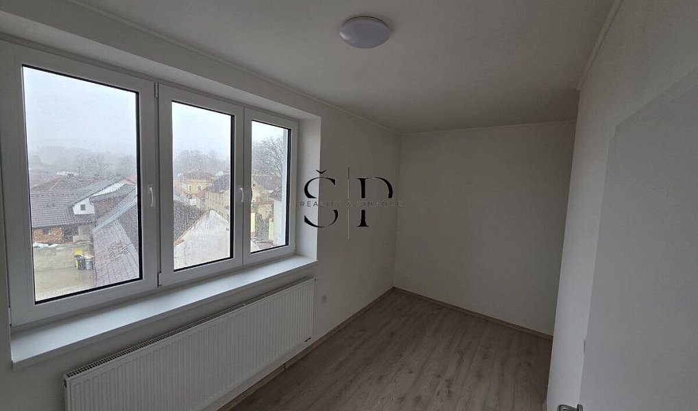 Pronájem bytu 1+1 41 m², Černovice – náhled fotky 3