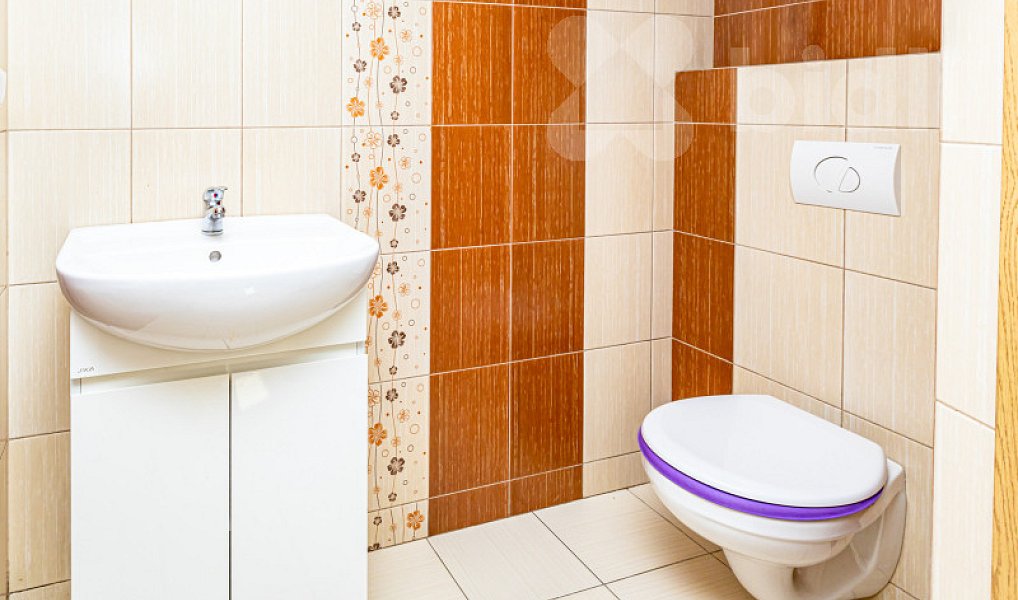 Prodej domu 210 m² s pozemkem 911 m², Chřibská – náhled fotky 22