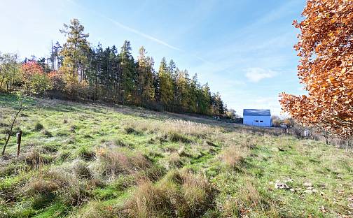 Prodej stavebního pozemku 1 217 m², Daleké Dušníky, okres Příbram