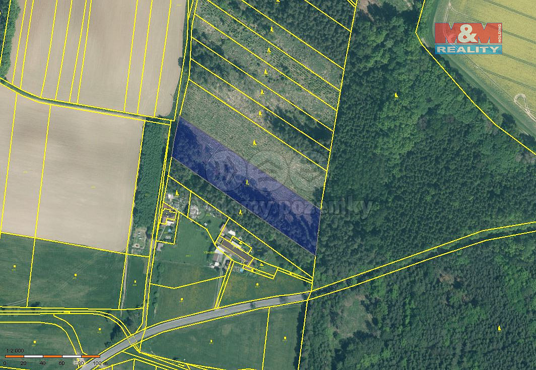 Prodej lesa 7 675 m²