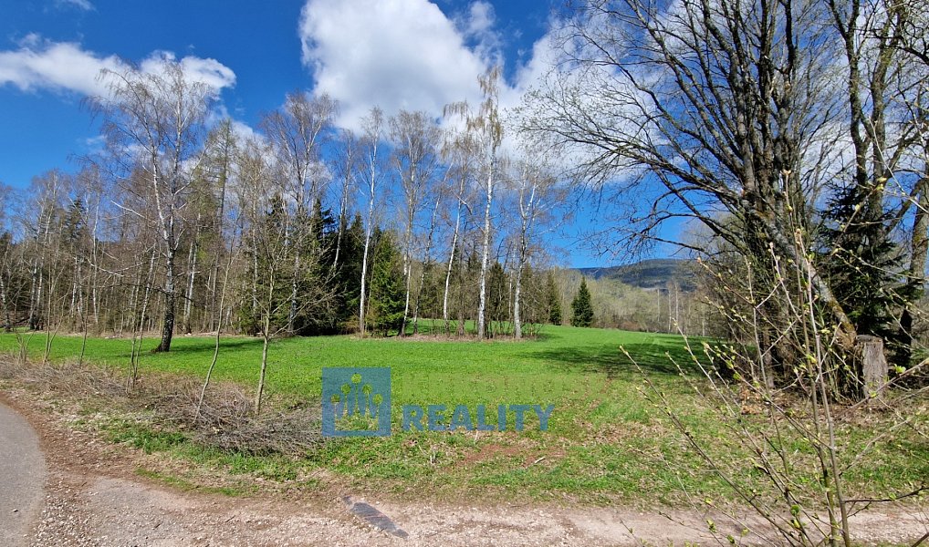 Prodej pozemku 2 788 m², Černý Důl – náhled fotky 9