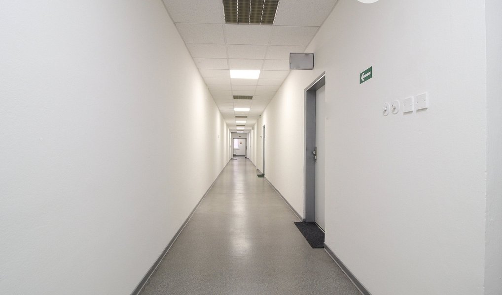 Pronájem kanceláře 100 m², Brno – náhled fotky 6