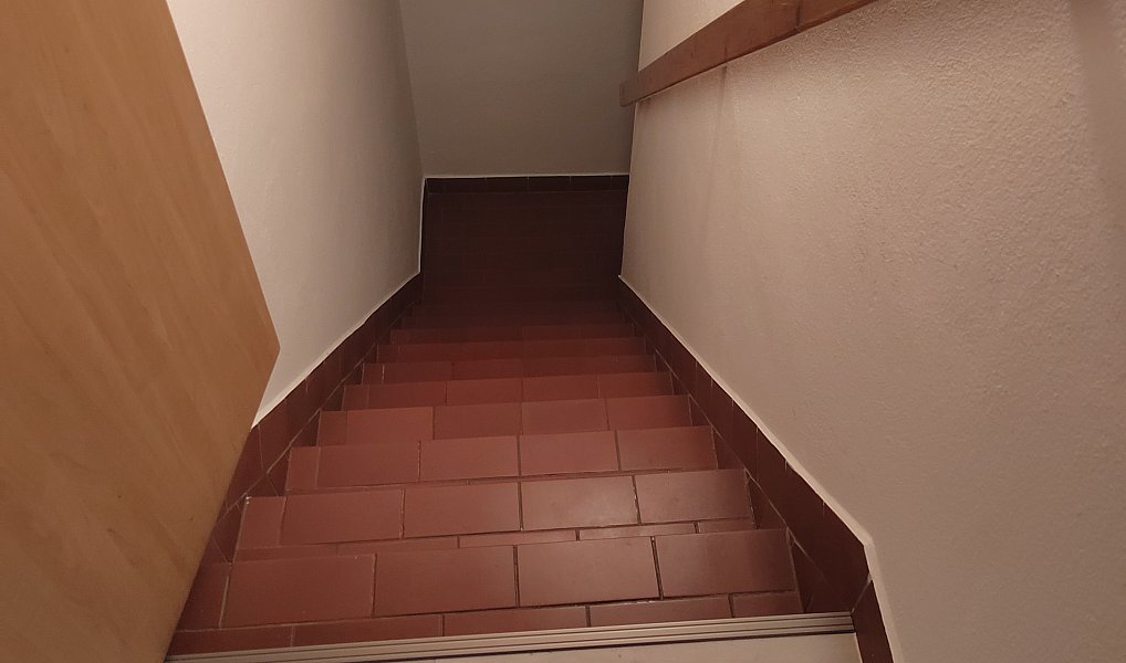 Prodej domu 94 m² s pozemkem 233 m², Zruč-Senec – náhled fotky 15