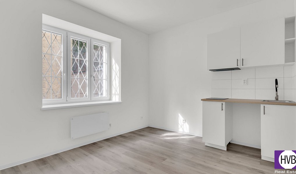 Prodej bytu 1+kk 16 m², Praha – náhled fotky 2