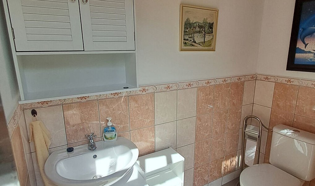 Prodej chaty/chalupy 65 m² s pozemkem 566 m², Větřní – náhled fotky 12