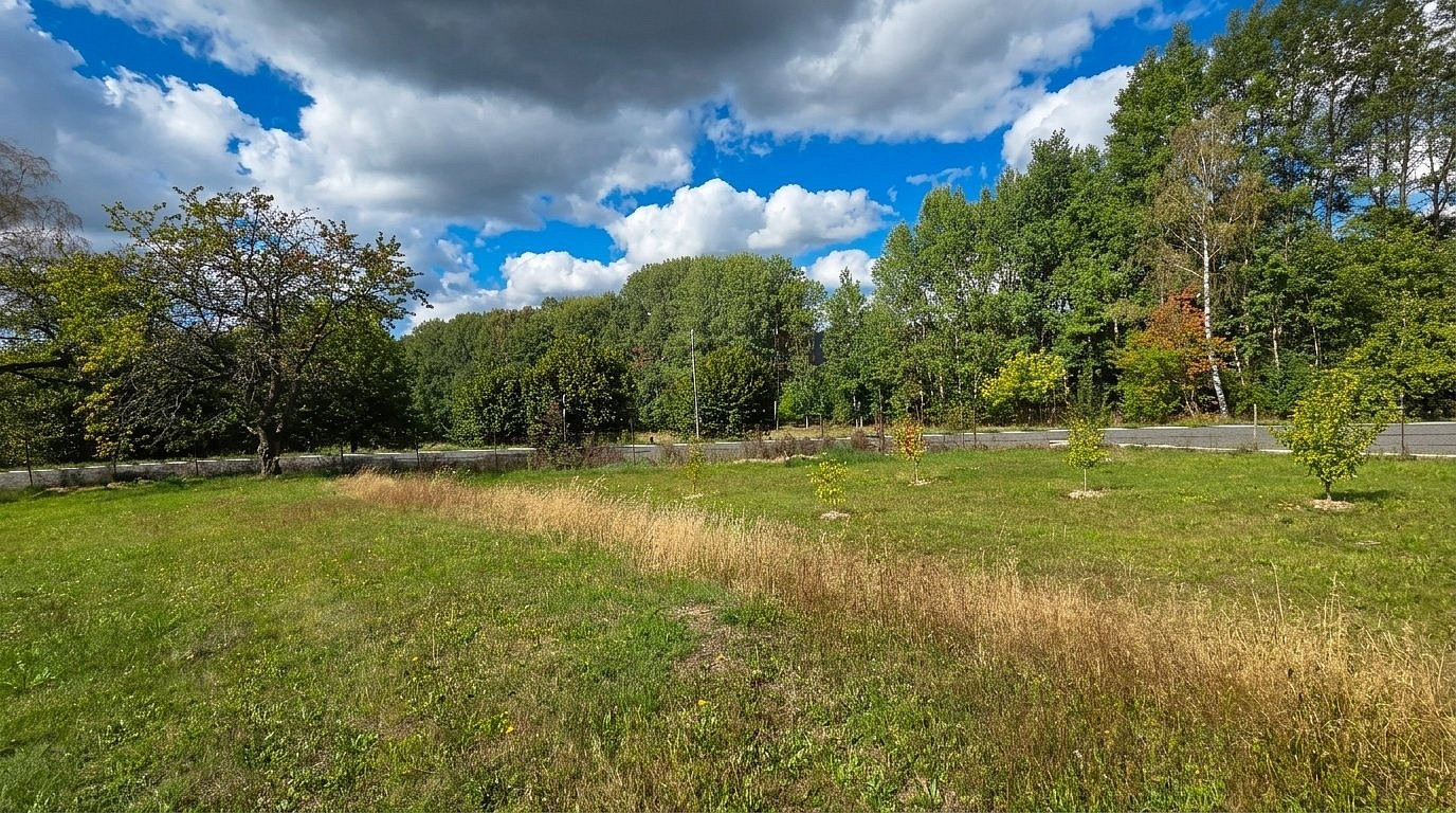 Fotka 14 z 16