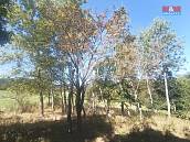 Prodej pozemku 3069m2