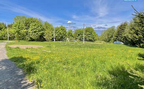 Prodej stavebního pozemku 1 731 m², Králíky - Dolní Boříkovice, okres Ústí nad Orlicí