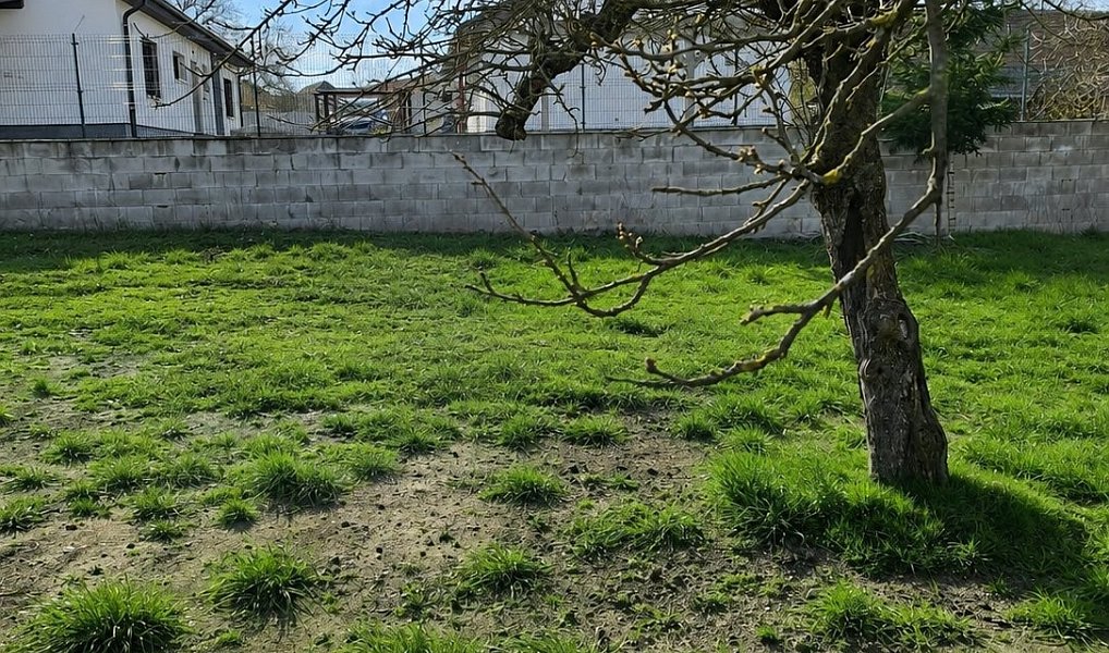 Stavební pozemek připravený k okamžité výstavbě Sedlec u Náměště nad Oslavou 623 m2 sítě na hr — foto 4