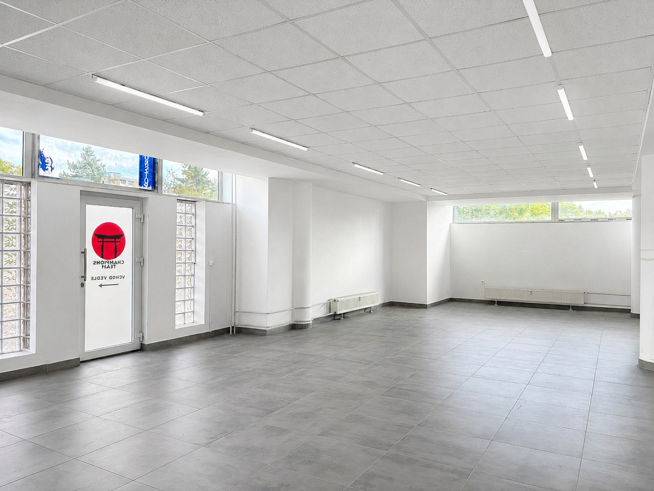 Pronájem obchodních prostor 260 m² – fotografie 5