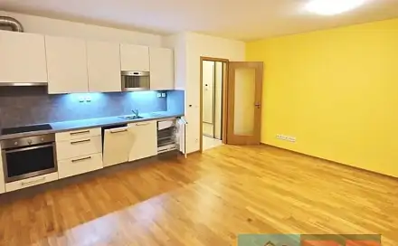 Pronájem bytu 1+kk 41 m²