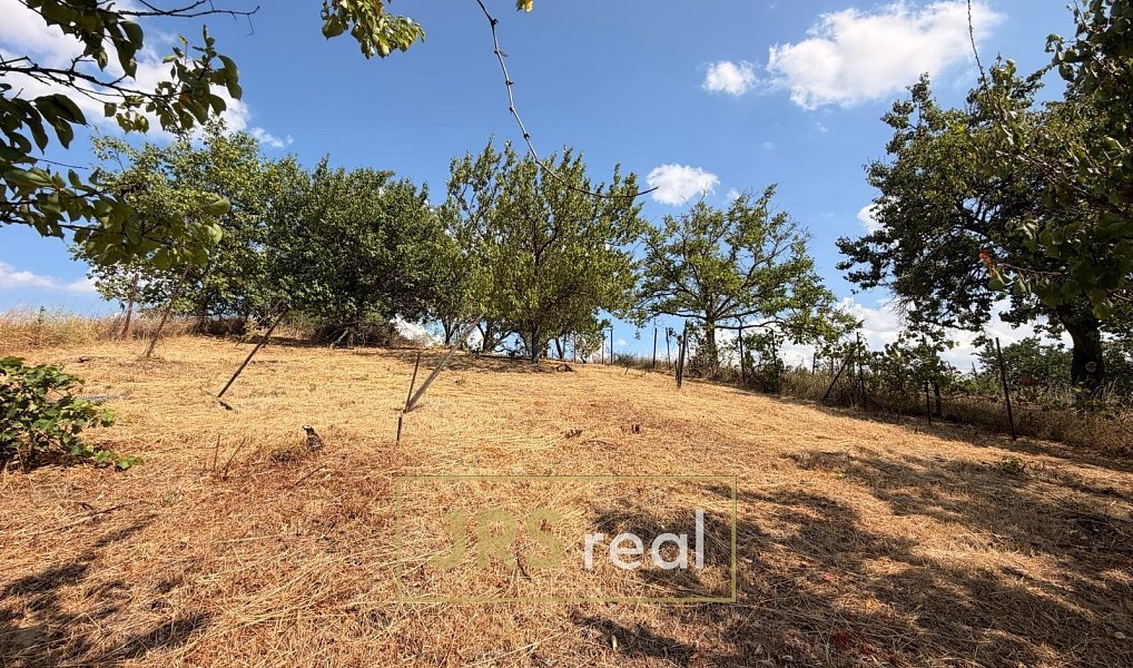 Prodej pole 1 046 m², Kyjov – náhled fotky 7