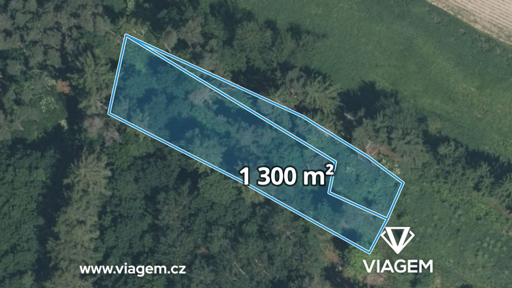 Prodej lesa 1 300 m²
