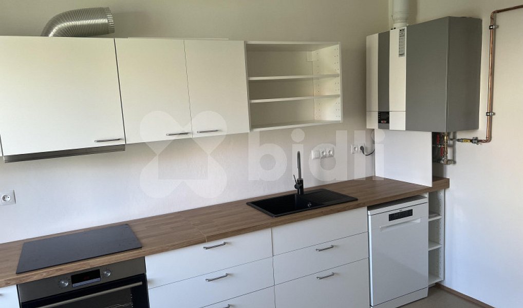 Pronájem bytu 2+1 54 m², Praha – náhled fotky 4