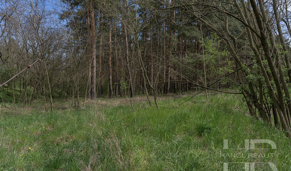 Prodej komerčního pozemku 111 367 m², Nymburk – náhled fotky 26