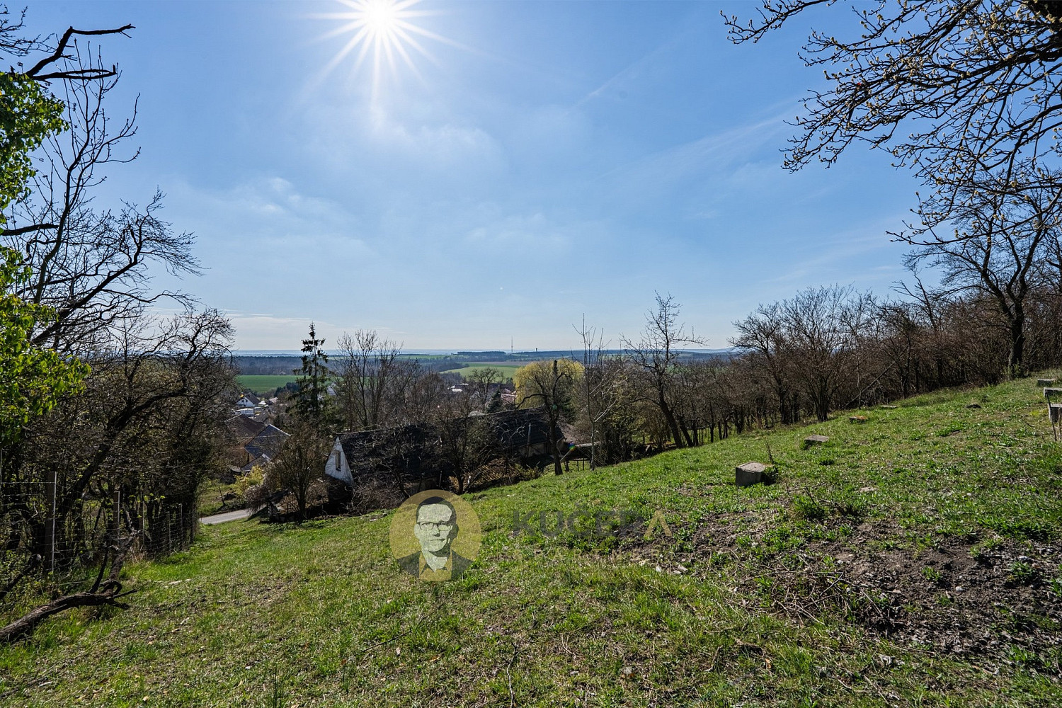 Prodej domu 100 m² s pozemkem 3 158 m² — photo 4