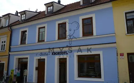 Pronájem bytu 1+kk 35 m², Kněžská, České Budějovice - České Budějovice 1