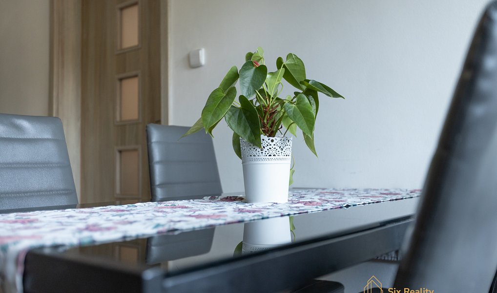 Prodej domu 291 m² s pozemkem 820 m², Račice – náhled fotky 12