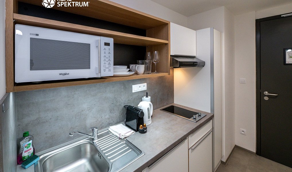 Pronájem bytu 1+kk 24 m², Brno – náhled fotky 4