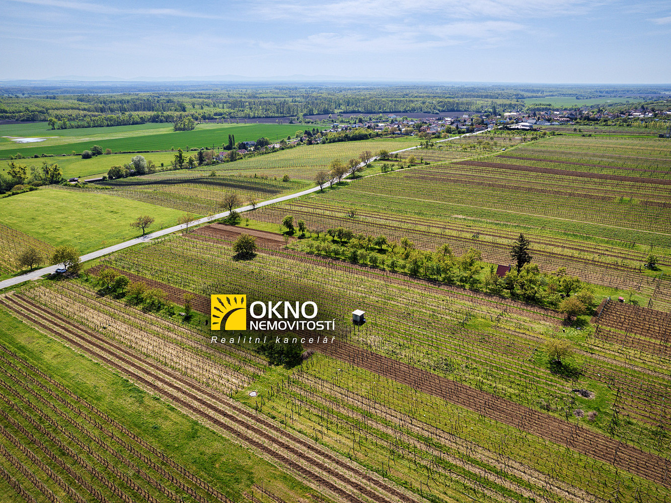 Rovinný pozemek - vinice – pohled 5