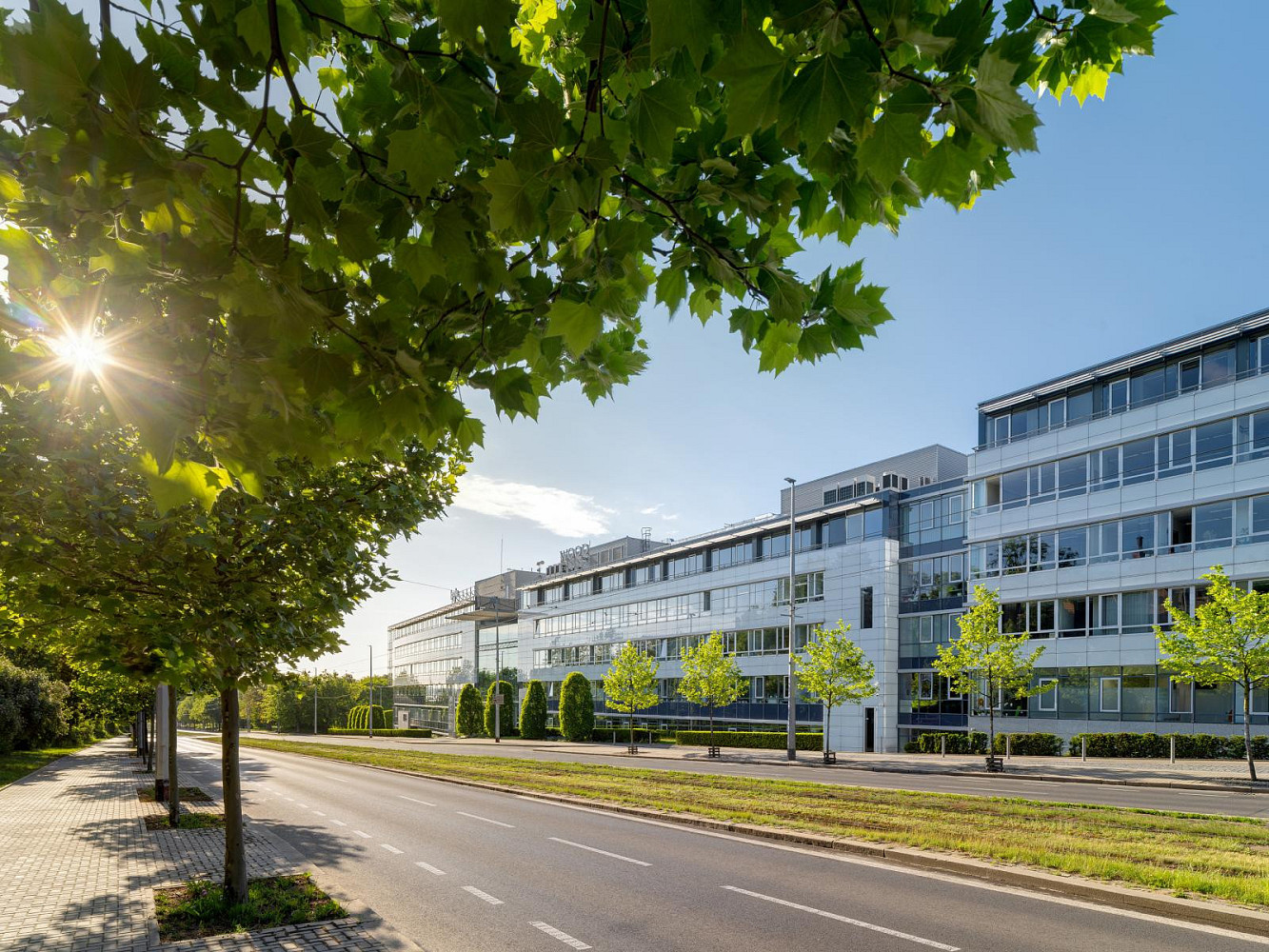 Pronájem kanceláře 228 m²