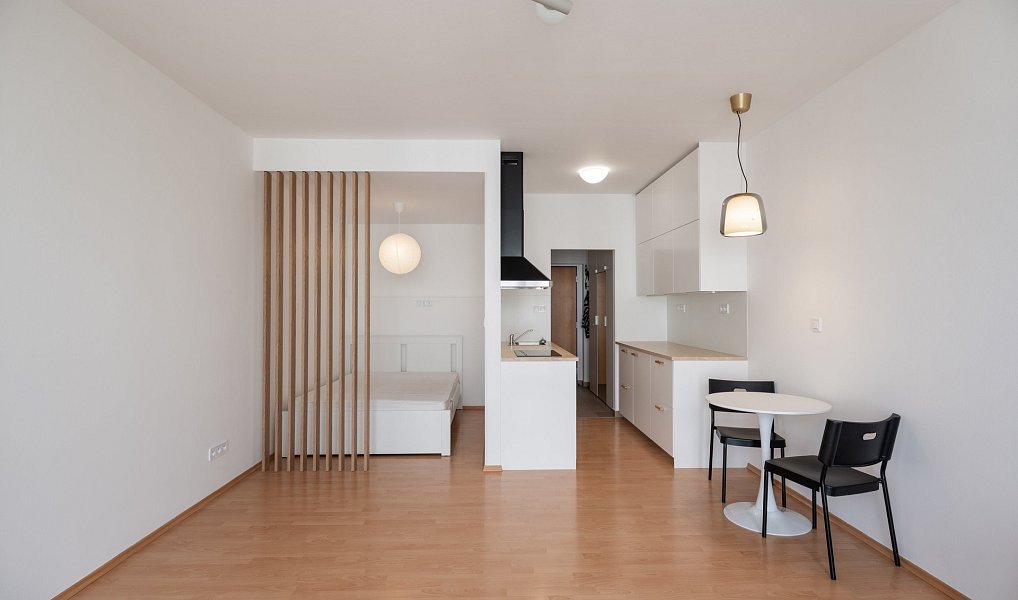 Pronájem bytu 1+kk 42 m², Praha – náhled fotky 3