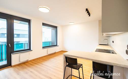 Pronájem bytu 1+kk 32 m², Olgy Havlové, Praha 3 - Žižkov