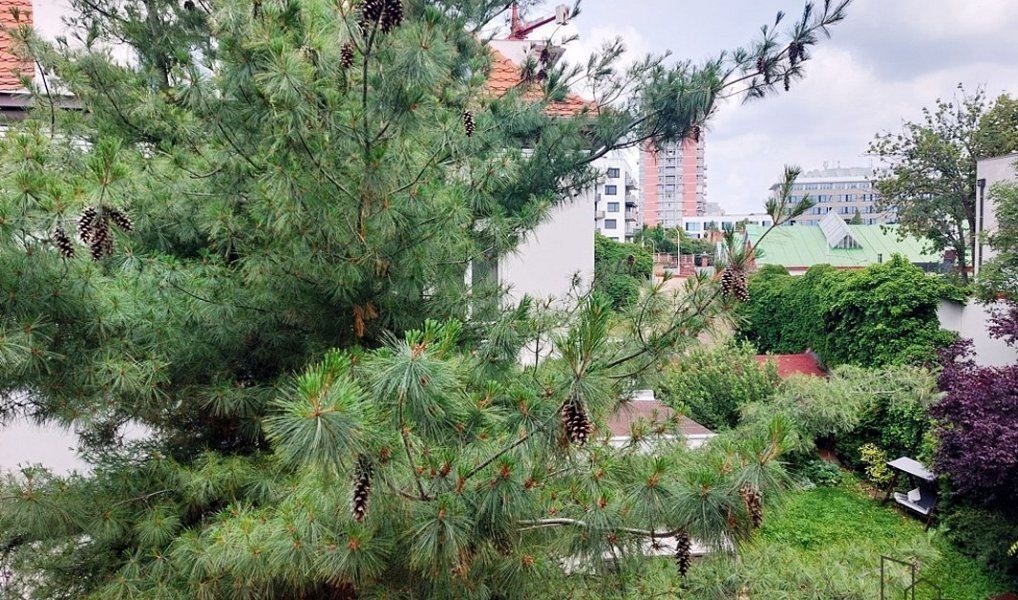 Prodej bytu 3+kk 60 m², Praha – náhled fotky 15