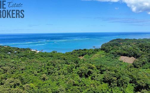 Prodej stavebního pozemku 8 984 m², Coxen Hole, Roatán, Honduras