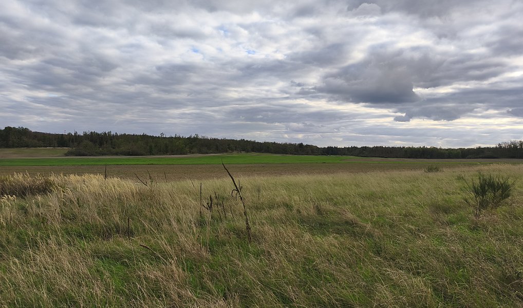 Prodej louky 3 629 m², Stará Huť – náhled fotky 7