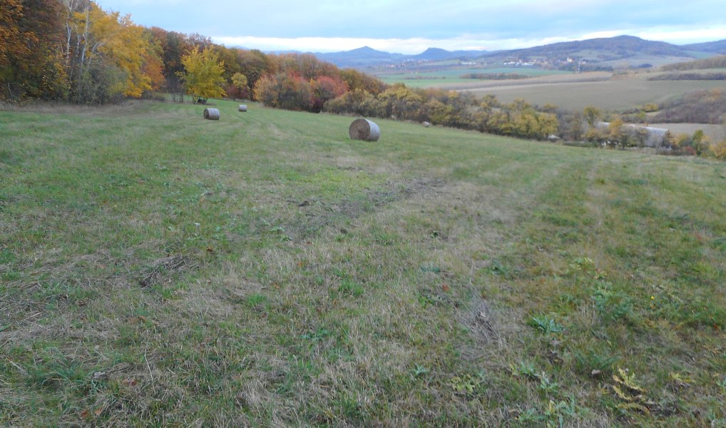 Prodej louky 9 483 m², Polepy – náhled fotky 5