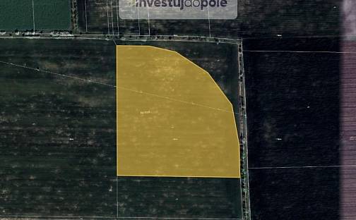 Prodej pole 10 992 m², Holubice - Kozinec, okres Praha-západ