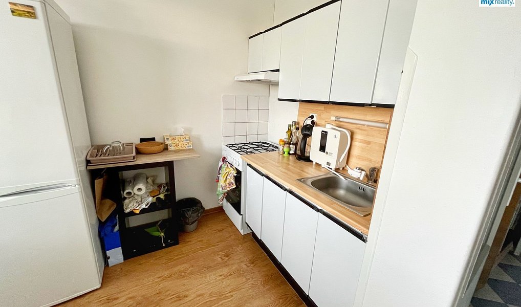 Pronájem bytu 1+1 39 m², Plzeň – náhled fotky 8