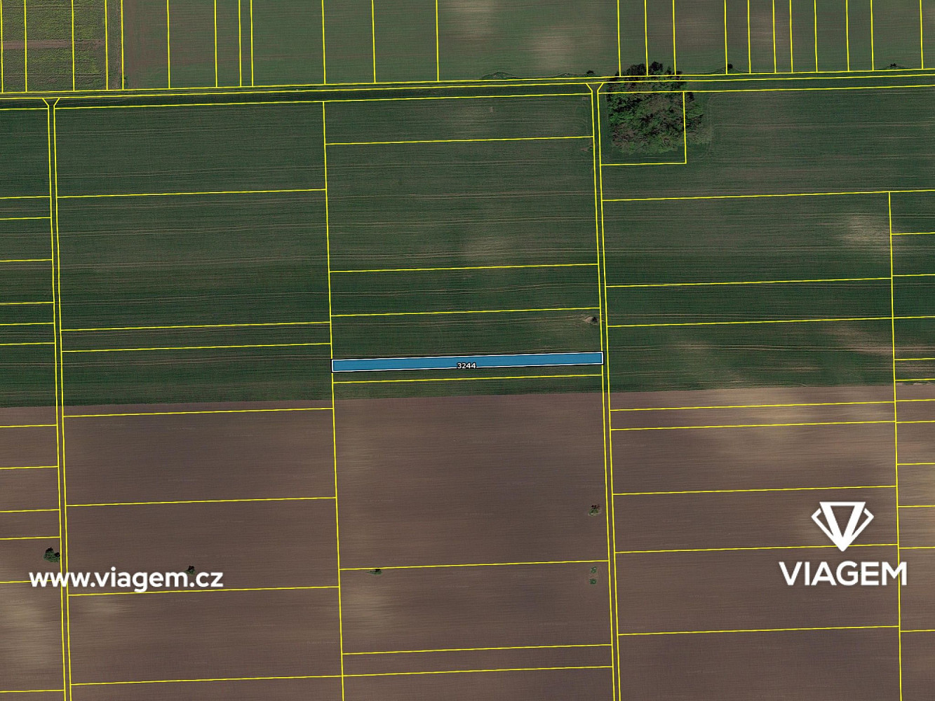 Prodej pole 1 473 m² – fotografie 4