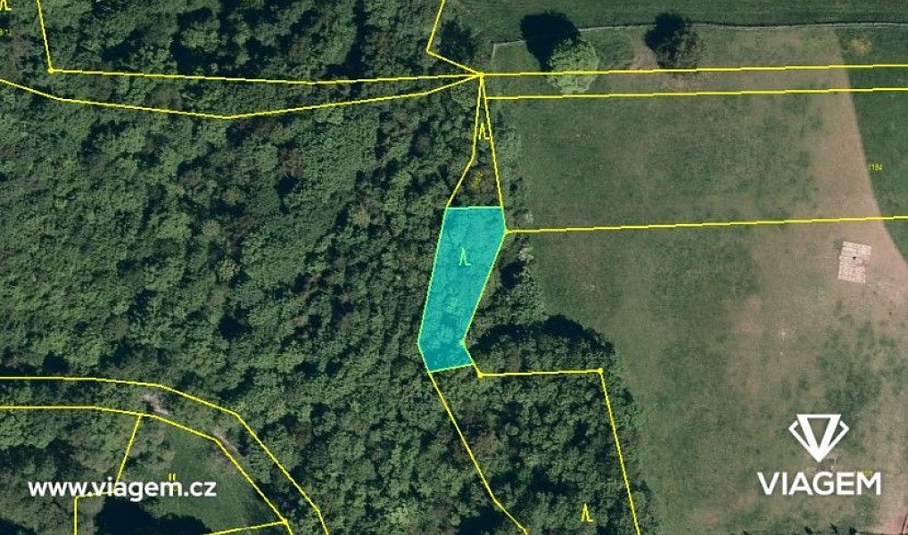 Prodej lesa 1 258 m², Suchdol nad Odrou – náhled fotky 4