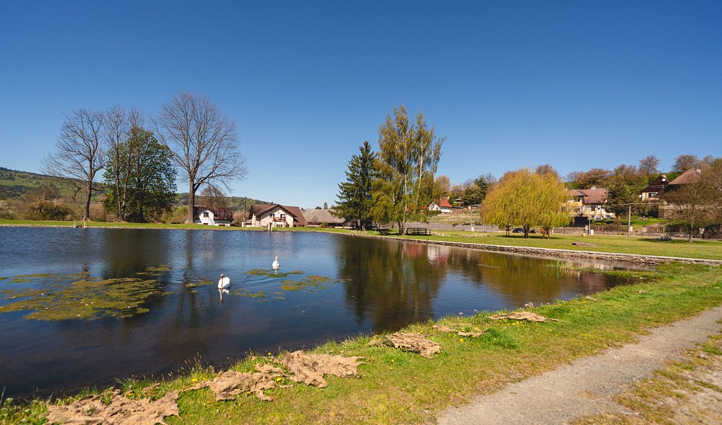 Prodej domu 178 m² s pozemkem 525 m², Dešenice – náhled fotky 28