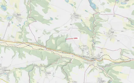 Dražba lesa 2 068 m², Vladislav