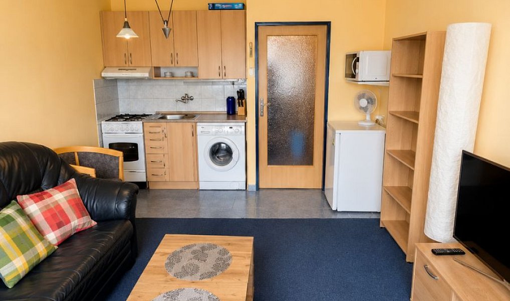 Prodej bytu 1+kk 23 m², Praha – náhled fotky 5