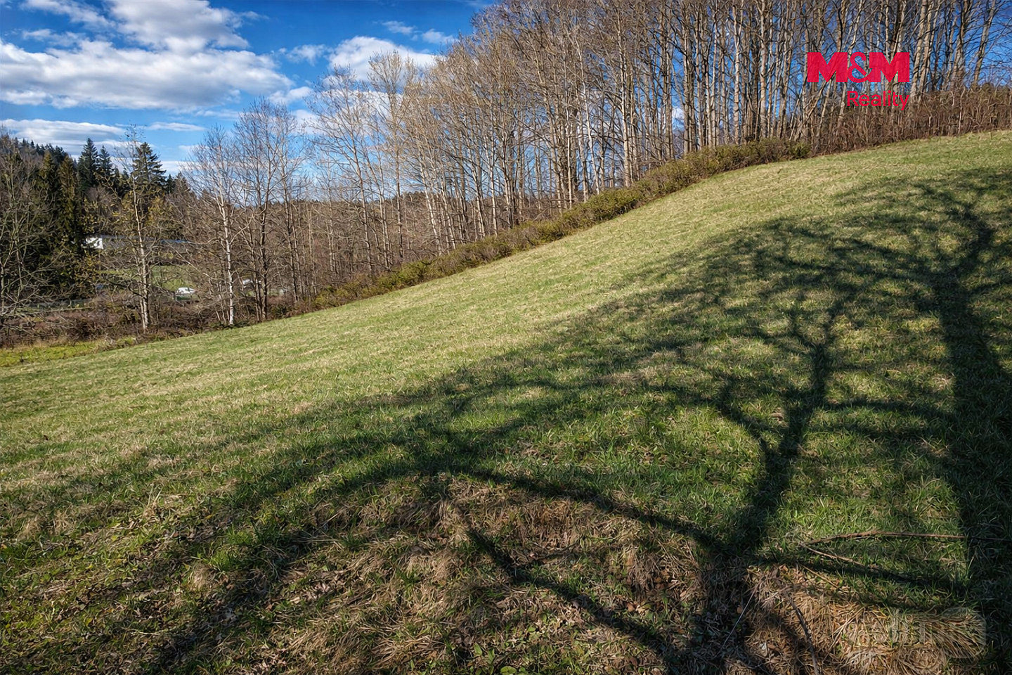 Prodej louky 2 749 m² – fotografie 4